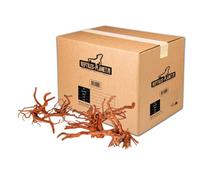 REPTILE PLANET-Décoration pour aquarium en bois racine araignée Reptiles Planet - Taille M (26 à 35 cm)