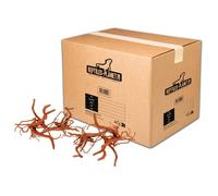 REPTILE PLANET-Décoration pour aquarium en bois racine araignée Reptiles Planet - Taille S (15 à 25 cm)