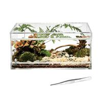 Reptile Terrarium - Escape-Proof Transparent Breathable | Jumping Spider Tank Lizard Cage | Transparent Breathable Habitat For Observation Feeding Breeding Climbing Tarantula Mantis Frog