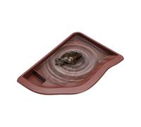 Reptile Water Dish - Reptile Bathing Pool | Grand bol de jardin pour aquarium Bearded Dragon Aquatic Climbing Pet Turtle Home Snakes