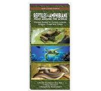 Reptiles amp Amphibians from Around the World Pocket Guides to Turtles Lizards Snakes Frogs and Toads by Jeff Corwin James Kavanagh Jeff Corwin James Kavanagh (Auteur)