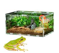 Reptiles Habitat du Terrarium Boîte d'alimentation D'insectes Boîte d'alimentation D'insecte Terrarium Tortue Terrestre Terrarium Transparent pour Escargots