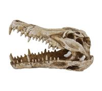 REPTILES PLANET - Caiman Skull Open - Décoration pour Terrarium - Crâne de Caïman - 23 x 13 x 10,5 cm