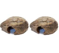 Reptiles Planet - Coco CASA - Cachette Naturelle en Noix de Coco pour Petits Animaux (Lot de 2)