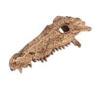 Reptiles Planet - Décoration Résine - Gator Bones - 21x7,5x11 cm
