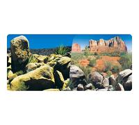 REPTILES PLANET Desert Terrarium Affiche avec 2 Côtés, 15m Rouler, 40cm Hauteur