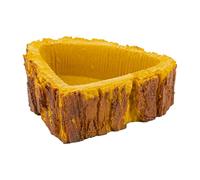 REPTILES PLANET - Forest Dish - Gamelle ou Abreuvoir pour Reptiles - 7,5 X 8,5 X 3 cm
