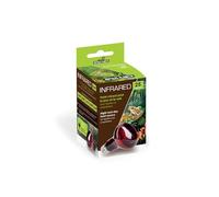 Reptiles Planet - Infrared - Ampoule Chauffante Infrarouge - 25 W