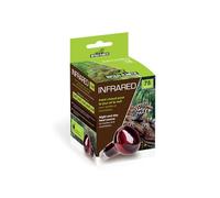 Reptiles Planet - Infrared - Ampoule Chauffante Infrarouge - 75 W