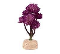 Reptiles-Planet - Plante Artificielle - Red Desert Succulent - 15 cm