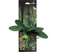 Reptiles Planet - Plante en Tissu - Phalaenopsis Amabilis