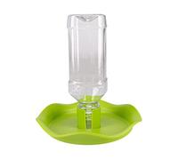 Reptiles-Planet - Plastic Dish Green - Distributeur d'eau - 10 x 5 x 1 cm