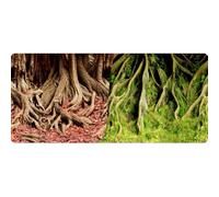 Reptiles Planet - Poster - Racines Désertiques ou Tropicales - 0,40 x 15 m