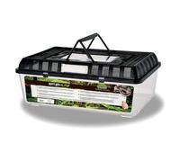 Reptiles Planet - Repti Box XL - Boite de Transport en Plastique avec Couvercle Amovible - 42 x 26 x 16 cm