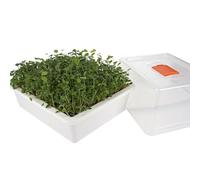 Reptiles Planet - Repti Serre - Mini Serre de Germination pour Nourrir Les Tortues Terrestres et Reptiles Herbivores