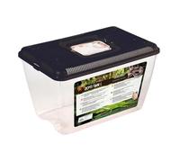 Reptiles Planet - Repti Tank L - Boite de Transport - 32,5 x 21 x 20 cm