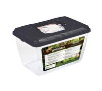 REPTILES PLANET - Repti Tank M - Terrarium en Plastique avec Couvercle Amovible - 25,5 x 16,5 x 16 cm