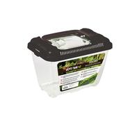 Reptiles Planet - Repti Tank S - Boite de Transport - 21,5 x 13,5 x14 cm