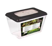 Reptiles Planet - Repti Tank XL - Terrarium en Plastique avec Couvercle Amovible - 38,5 x 24,5 x 24 cm