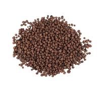 Reptiles Planet - Repticlay - Billes d'Argile Ø 2 à 3 mm - 6L