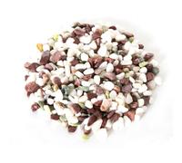 Reptiles Planet - Turtle Stones - Substrat Pierres de Rivière - 4,5kg
