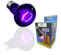 ReptilHábitat - Lampe Basking Spot pour Reptiles 25W - Lumière et chaleur concentrées pour basking - Favorise la thermorégulation et la santé - Parfaite pour pogonas, geckos, tortues