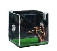 Reptilienwachstum Terrarium, Sprungspinnengehäuse | Acryl -Reptilienwachstum,Leichte und Kleine Tierzüchter für Schildkröten, Käfer, Schnecken und Eidechsen