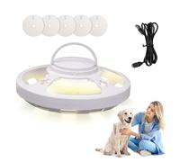 Répulsif anti-mouches - Piège à puces USB - 4 modes d'éclairage - Avec 5 autocollants pour attraper les punaises de lit - Pour salon, chambre à coucher, cuisine, hôtel, piège à nuisibles - Blanc