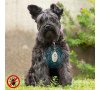 Répulsif Anti-nuisible à Ultrasons Rechargeables pour les Animaux de Compagnie PetRep InnovaGoods