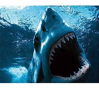 Requin à Gueule Ouverte - Puzzle de 2000 pièces - Puzzle pour Adultes et familles - 70 x 100 cm