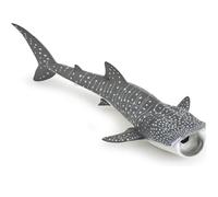 Requin baleine
