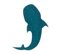 Requin Baleine autocollant adhésif sticker logo 764 - Taille : 4 cm