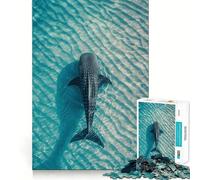 Requin-Baleine dans Une Eau Turquoise Puzzle 1000 pièces pour Adultes Jeu de mémoire Amusant Découpe Nette Pièces Robustes Cadeau Unique pour soulager Le Stress (38x26cm)