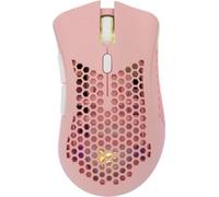Requin blanc LIONEL 6D, rose