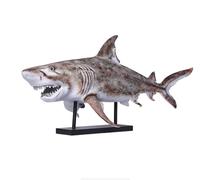 Requin Modèle Figurines réalistes de requins,Grand modèle animalier des profondeurs marines Pour jouet, décoration, collection (Tiger Shark)