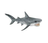 Requin tigre (bundle)