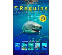 Requins et raies du monde entier