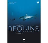 Requins Et Raies - Regards Croisés