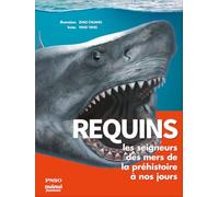 Requins - Les Seigneurs Des Mers De La Préhistoire À Nos Jours