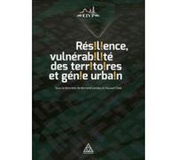 Rés!l!ence, vulnérab!l!té des terr!toires et gén!e urba!n Bernard Landau (Auteur), Youssef Diab (Auteur)