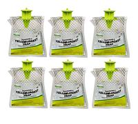 Rescue YJTD Lot de 6 pièges jetables pour extérieur non toxique Résistant aux semaines en été et en automne