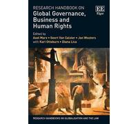 Research Handbook On Global Governance, Business And Human Rights