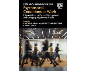 Research Handbook on Psychosocial Conditions at Work: Interventions to Prevent Recognised and Emerging Psychosocial Risks