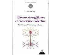 Réseaux Énergétiques Et Conscience Collective - Mégalithes, Cathédrales, Lignes Telluriques