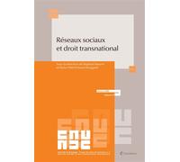 Réseaux sociaux et droit transnational - Raphaël Maurel - LexisNexis - broché - Etude