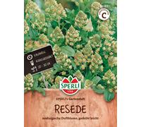 Réséda Odorant "Sperli's Gartenduft" - 1 sachet