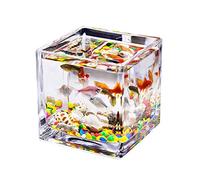 Réservoir à Poissons, bocal à Poissons, Mini Aquarium carré en Verre Transparent for Bureau, réservoir d'eau, d'herbe, Poisson Betta, Poisson d'ornement, Petit Aquarium(4.72IN)