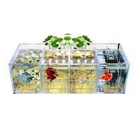 Réservoir Betta, Aquarium de Bureau, boîte d'isolement pour incubateur d'élevage de Poissons Betta élevage de Bureau Paysage décoratif Acrylique créativité écologique