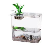 Réservoir de tortues d'eau - Augmenter les tortues et les réservoirs de poisson - réservoirs transparents pour élever des tortues, des réservoirs de poisson pour élever des tortues, de l'eau et de la