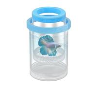 Réservoir d'élevage de poissons, réservoir flottant, boîte à brasserie, transparente, séparateur d'incubateur Betta avec fentes d'aération, séparateur Guppy transparent pour la protection du poisson